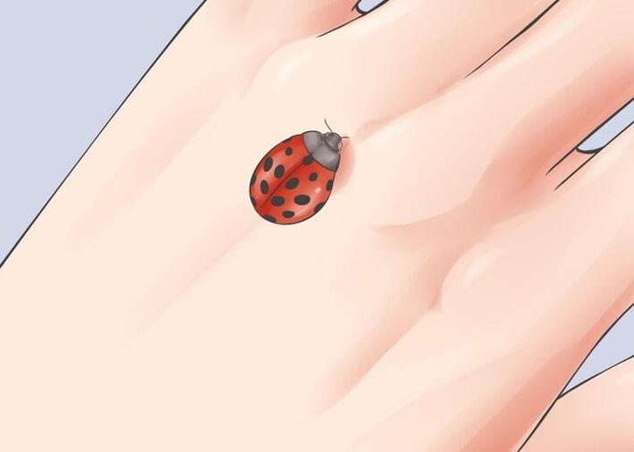 ladybug kaip sėkmės talismanas